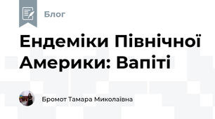 Ендеміки Північної Америки: Вапіті