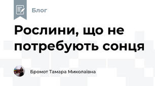 Рослини, що не потребують сонця