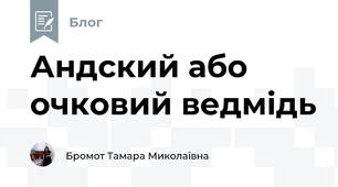 Андский або очковий ведмідь