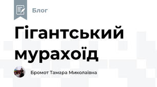 Гігантський мурахоїд
