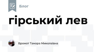 гірський лев