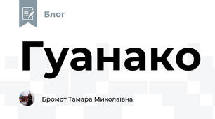 Гуанако