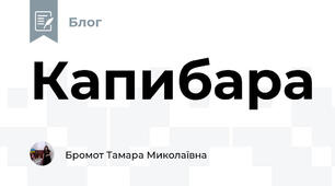 Капибара