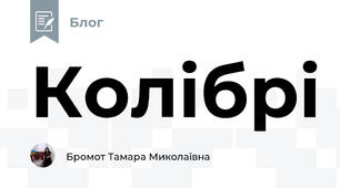 Колібрі