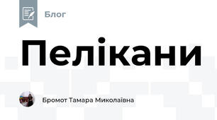 Пелікани
