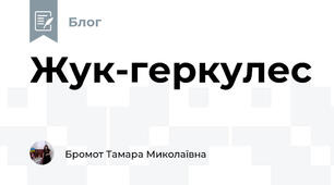 Жук-геркулес