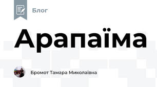 Арапаїма
