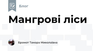Мангрові ліси 