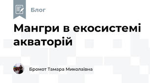 Мангри в екосистемі акваторій