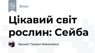 Цікавий світ рослин: Сейба