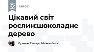 Цікавий світ рослин:шоколадне дерево