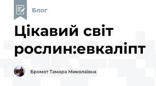 Цікавий світ рослин:евкаліпт