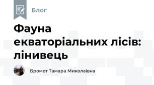 Фауна екваторіальних лісів: лінивець