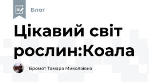 Цікавий світ рослин:Коала