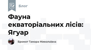 Фауна екваторіальних лісів: Ягуар