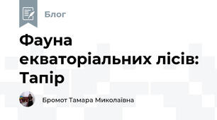 Фауна екваторіальних лісів: Тапір