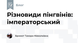 Різновиди пінгвінів: імператорський