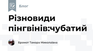 Різновиди пінгвінів:чубатий