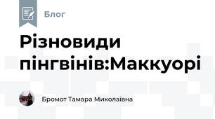 Різновиди пінгвінів:Маккуорі