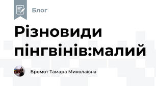 Різновиди пінгвінів:малий