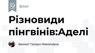 Різновиди пінгвінів:Аделі