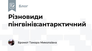 Різновиди пінгвінів:антарктичний