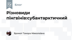 Різновиди пінгвінів:субантарктичний