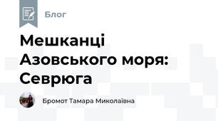 Мешканці Азовського моря: Севрюга