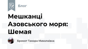 Мешканці Азовського моря: Шемая
