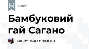 Бамбуковий гай Сагано