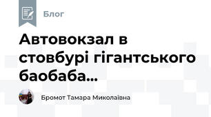 Автовокзал в стовбурі гігантського баобаба...