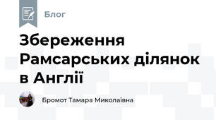 Збереження Рамсарських ділянок в Англії 