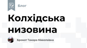 Колхідська низовина