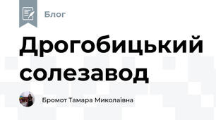 Дрогобицький солезавод 