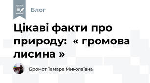 Цікаві факти про природу:  « громова лисина »