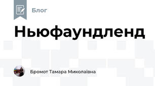 Ньюфаундленд