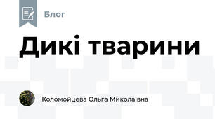 Дикі тварини