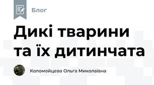 Дикі тварини та їх дитинчата
