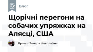Щорічні перегони на собачих упряжках на Алясці, США