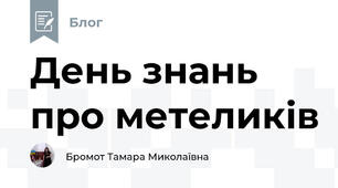 День знань про метеликів