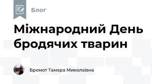 Міжнародний День бродячих тварин