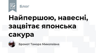 Найпершою, навесні, зацвітає японська сакура