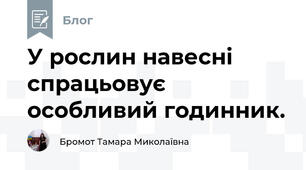 У рослин навесні спрацьовує особливий годинник.