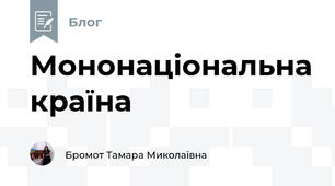 Мононаціональна країна