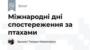 Міжнародні дні спостереження за птахами