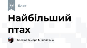 Найбільший птах