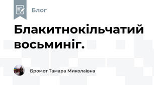 Блакитнокільчатий восьминіг.