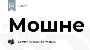 Мошне