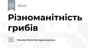 Різноманітність грибів