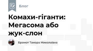 Комахи-гіганти: Мегасома або жук-слон